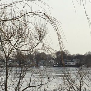 Meet your Posher, Yvi